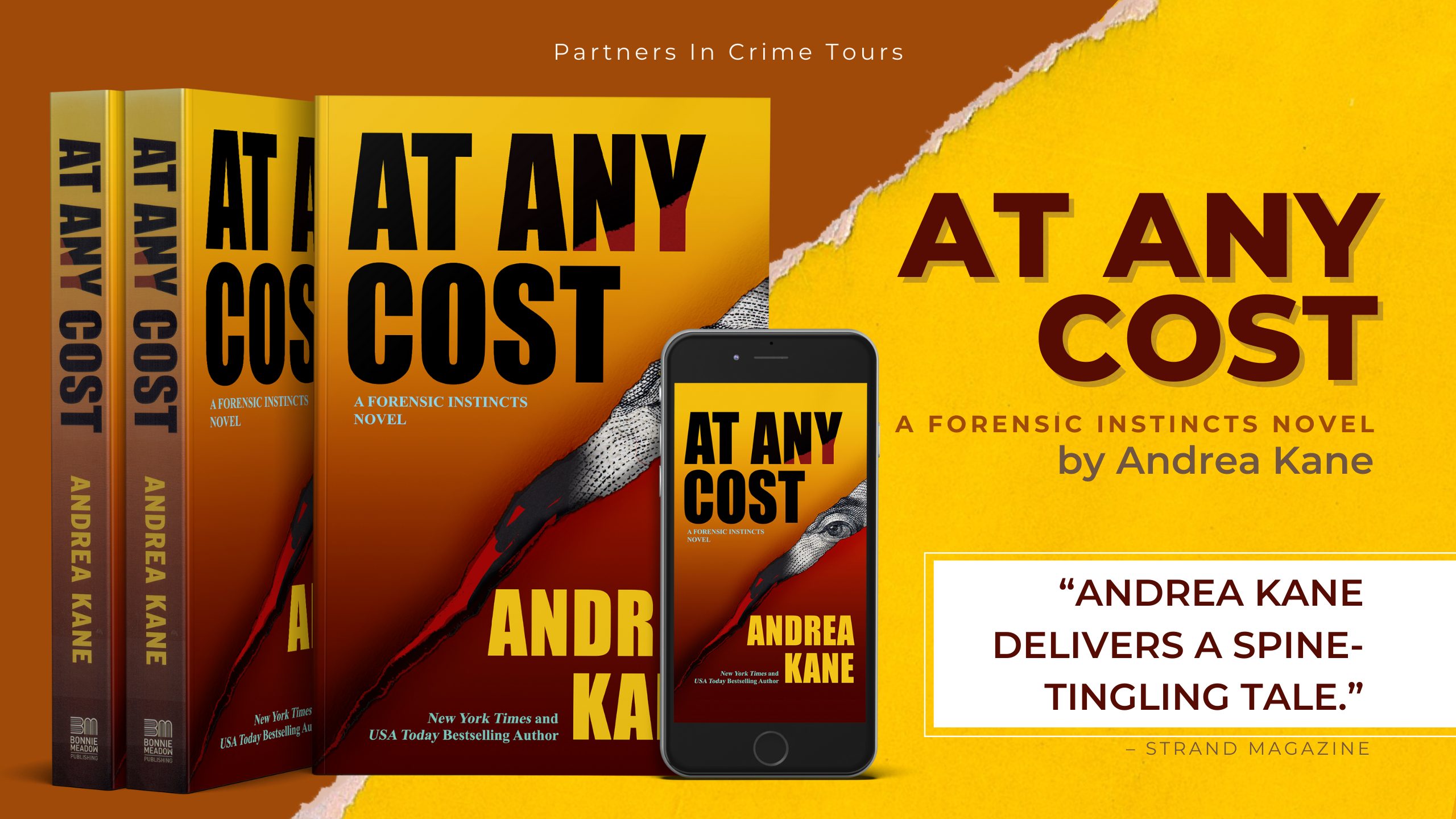 At Any Cost by Andrea Kane Banner