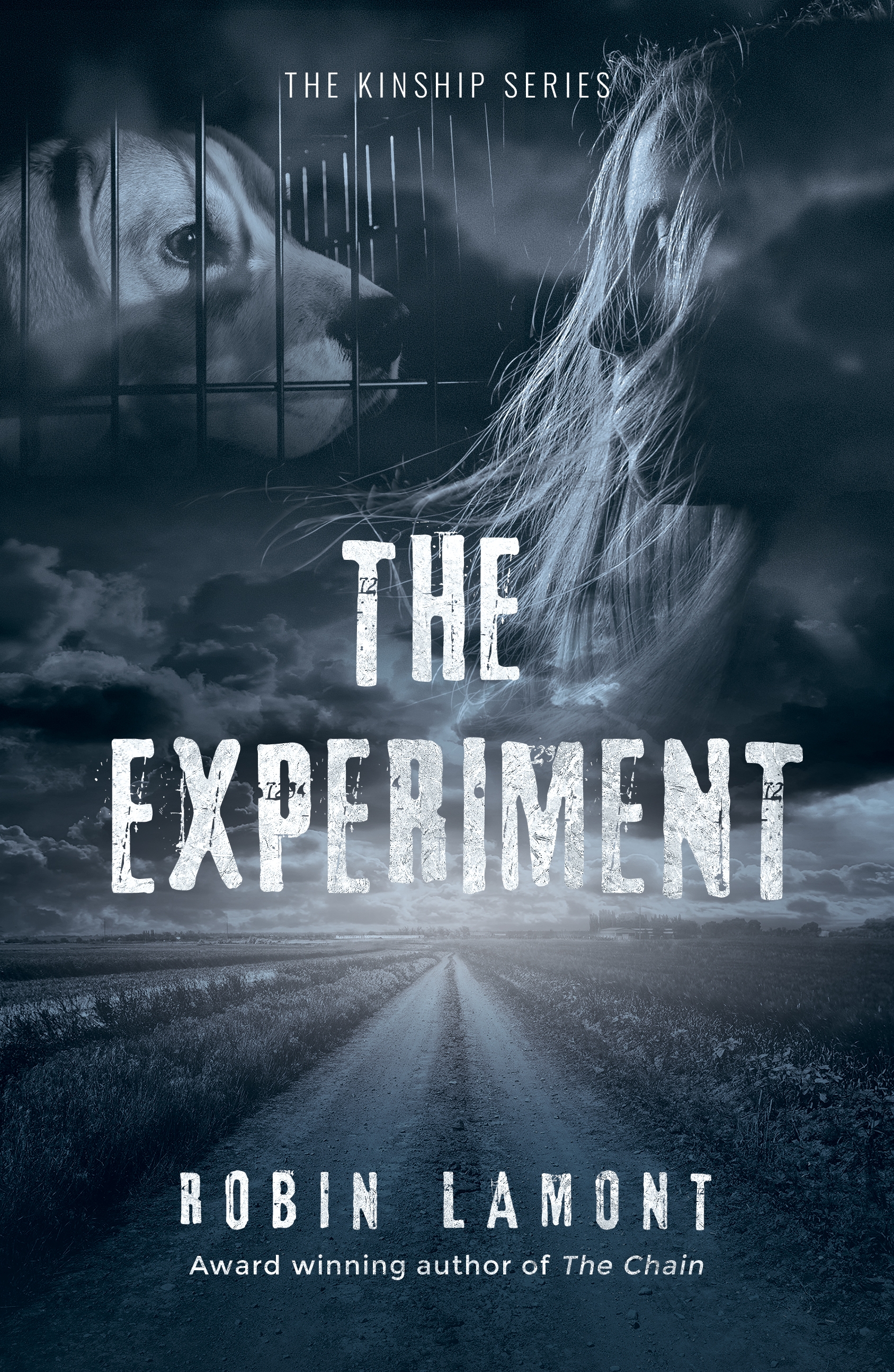 The Experiment by Robin Lamont