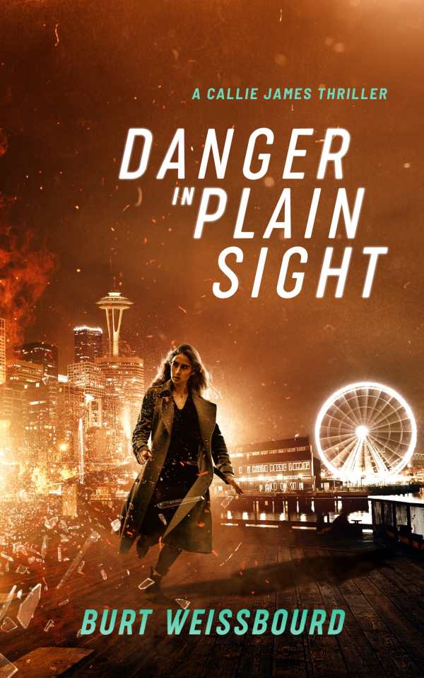 Danger in Plain Sight by Burt Weissbourd