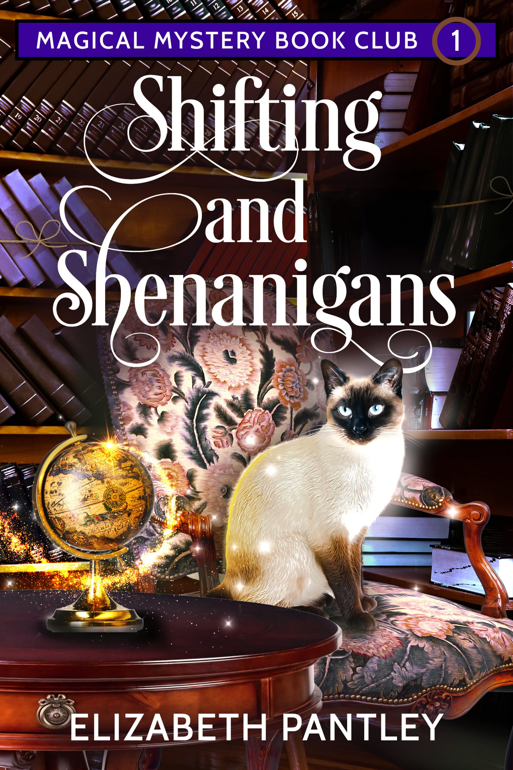 Shifting and Shenanigans by Elizabeth Pantley